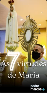 As 7 virtudes de Maria